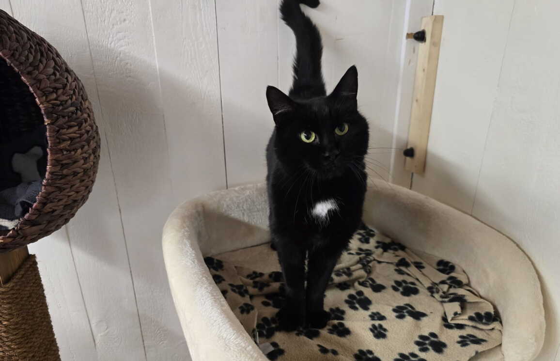 whatsapp_image_2025-10-29_at_15.37.432.jpeg whatsapp_image_2025-10-29_at_15.37.432.jpeg