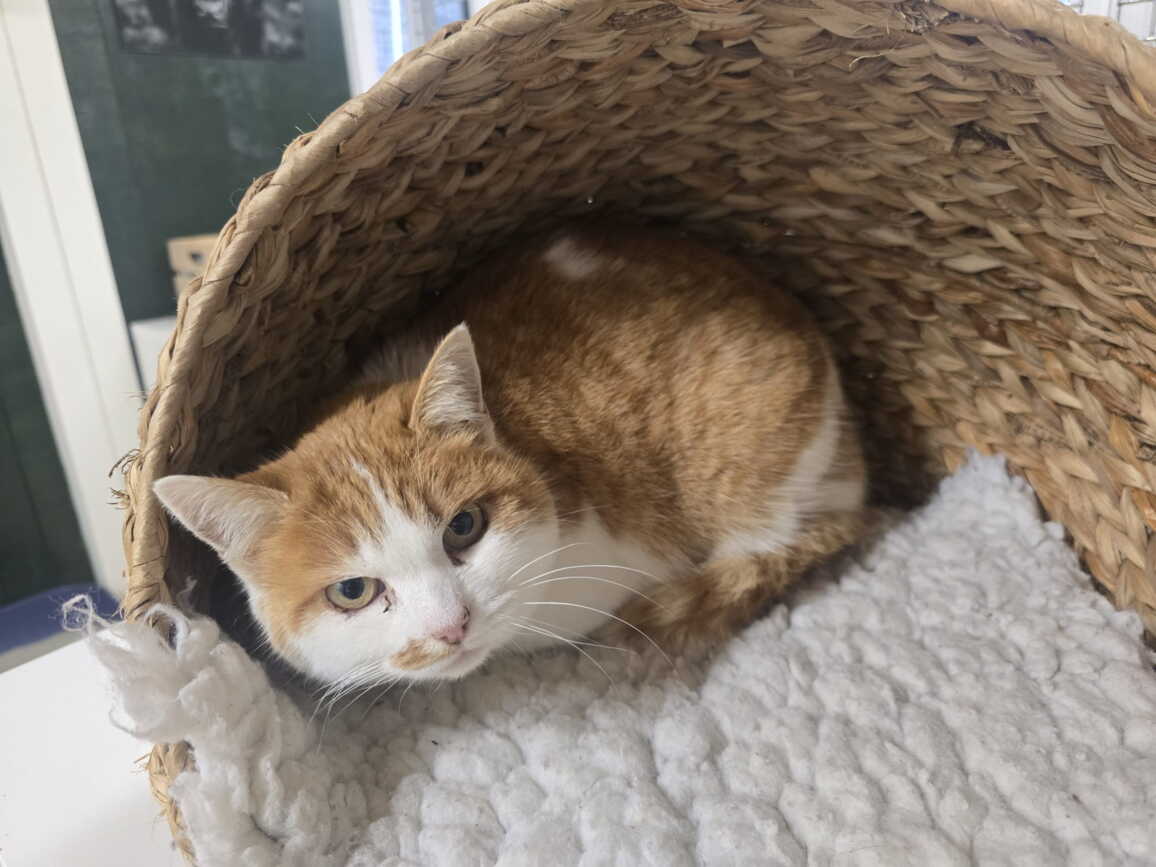 whatsapp_image_2026-03-10_at_14.27.15.jpeg whatsapp_image_2026-03-10_at_14.27.15.jpeg