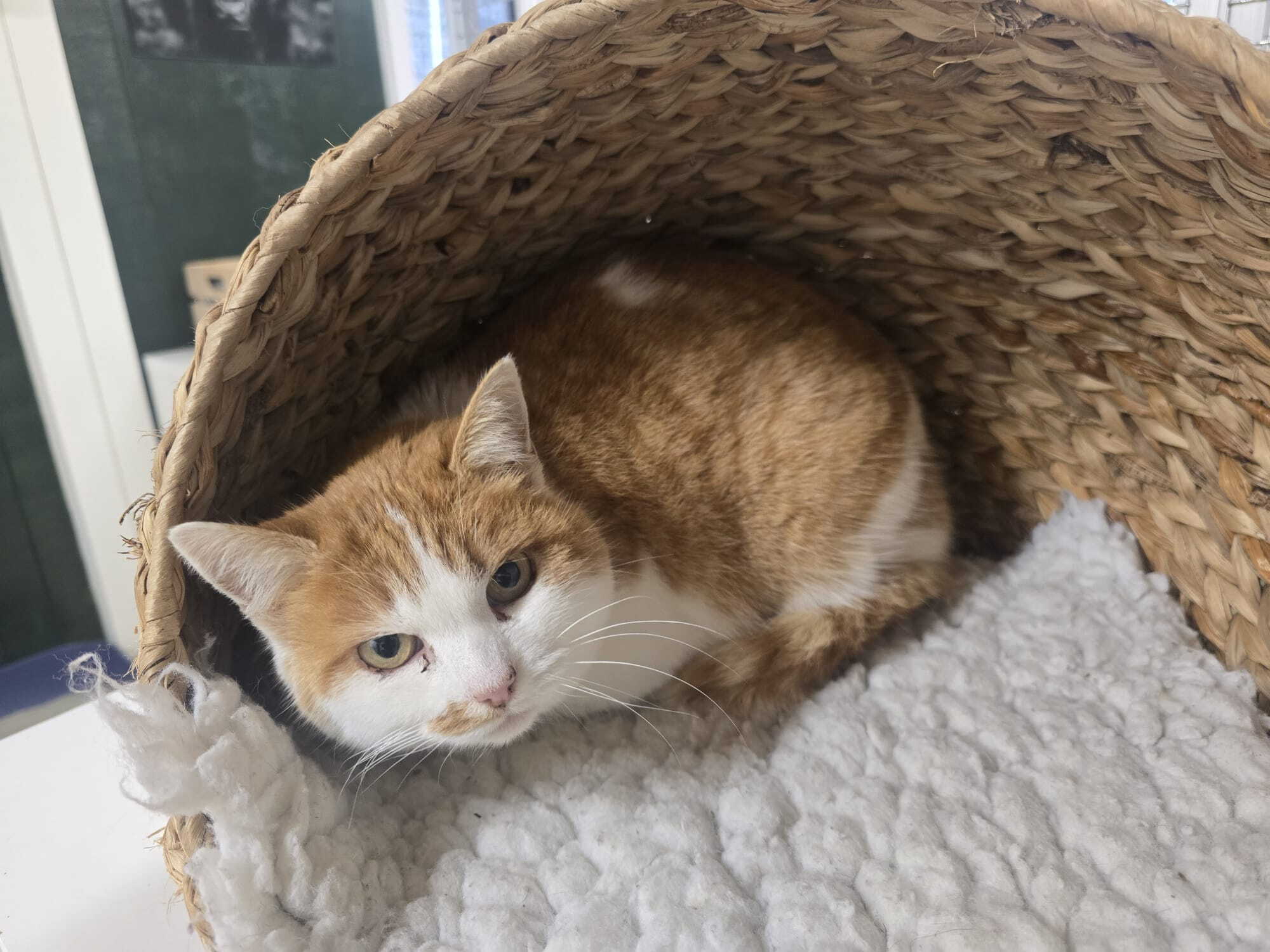 whatsapp_image_2026-03-10_at_14.27.15.jpeg whatsapp_image_2026-03-10_at_14.27.15.jpeg