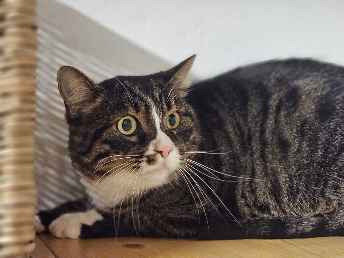 whatsapp_image_2025-10-29_at_16.27.331.jpeg whatsapp_image_2025-10-29_at_16.27.331.jpeg