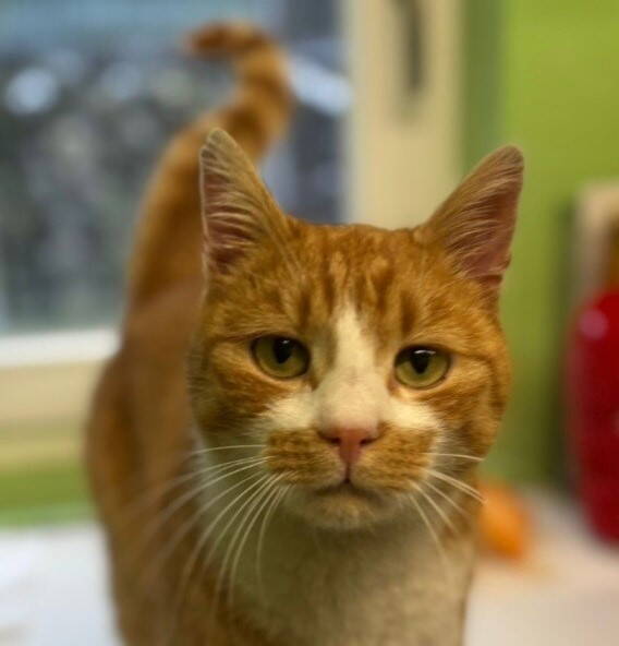 mr._snauz_-_findel_-_6.1.2026_-_1.jpg Zoom: mr._snauz_-_findel_-_6.1.2026_-_1.jpg