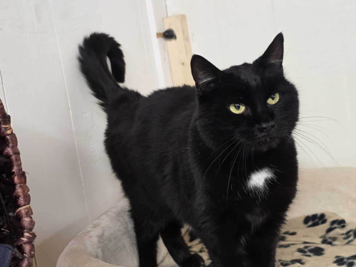 whatsapp_image_2025-10-29_at_15.37.433.jpeg whatsapp_image_2025-10-29_at_15.37.433.jpeg