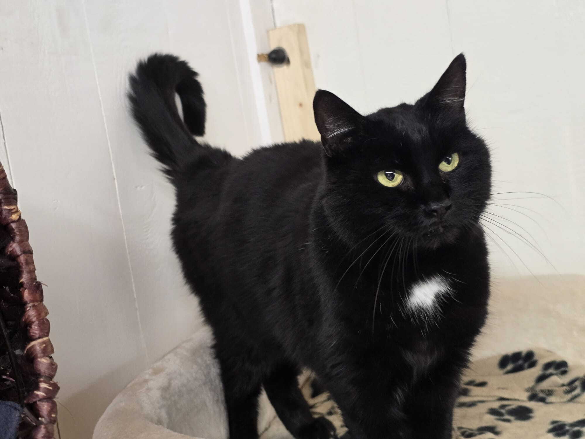 whatsapp_image_2025-10-29_at_15.37.433.jpeg whatsapp_image_2025-10-29_at_15.37.433.jpeg