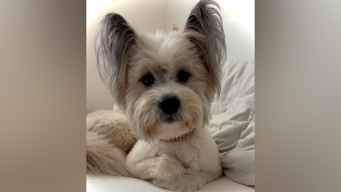 photo-output_4.png photo-output_4.png