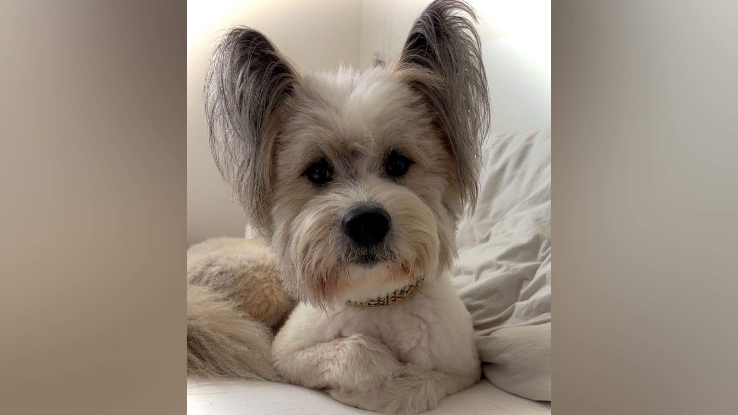 photo-output_4.png photo-output_4.png