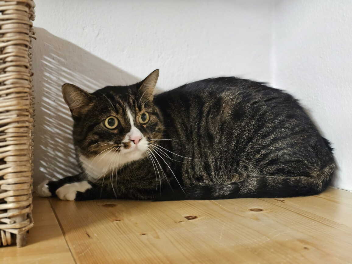 whatsapp_image_2025-10-29_at_16.27.33.jpeg whatsapp_image_2025-10-29_at_16.27.33.jpeg