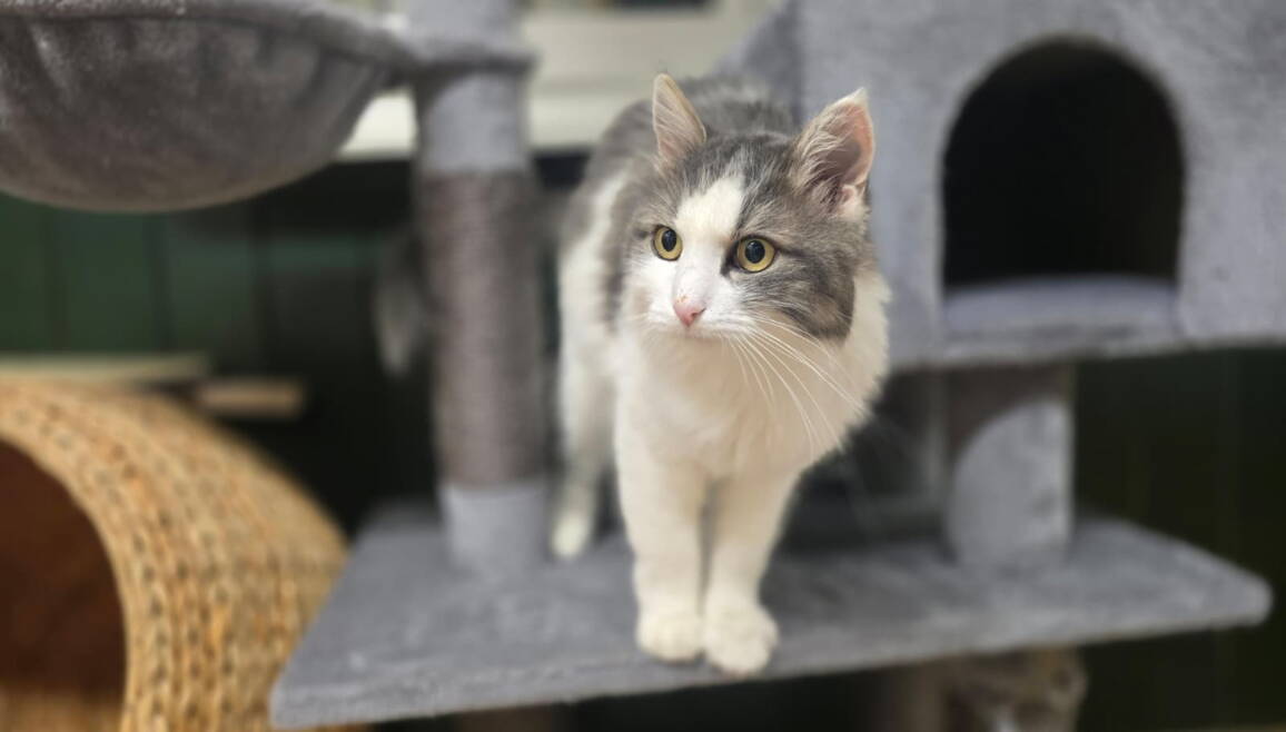 whatsapp_image_2025-10-29_at_17.44.472.jpeg whatsapp_image_2025-10-29_at_17.44.472.jpeg