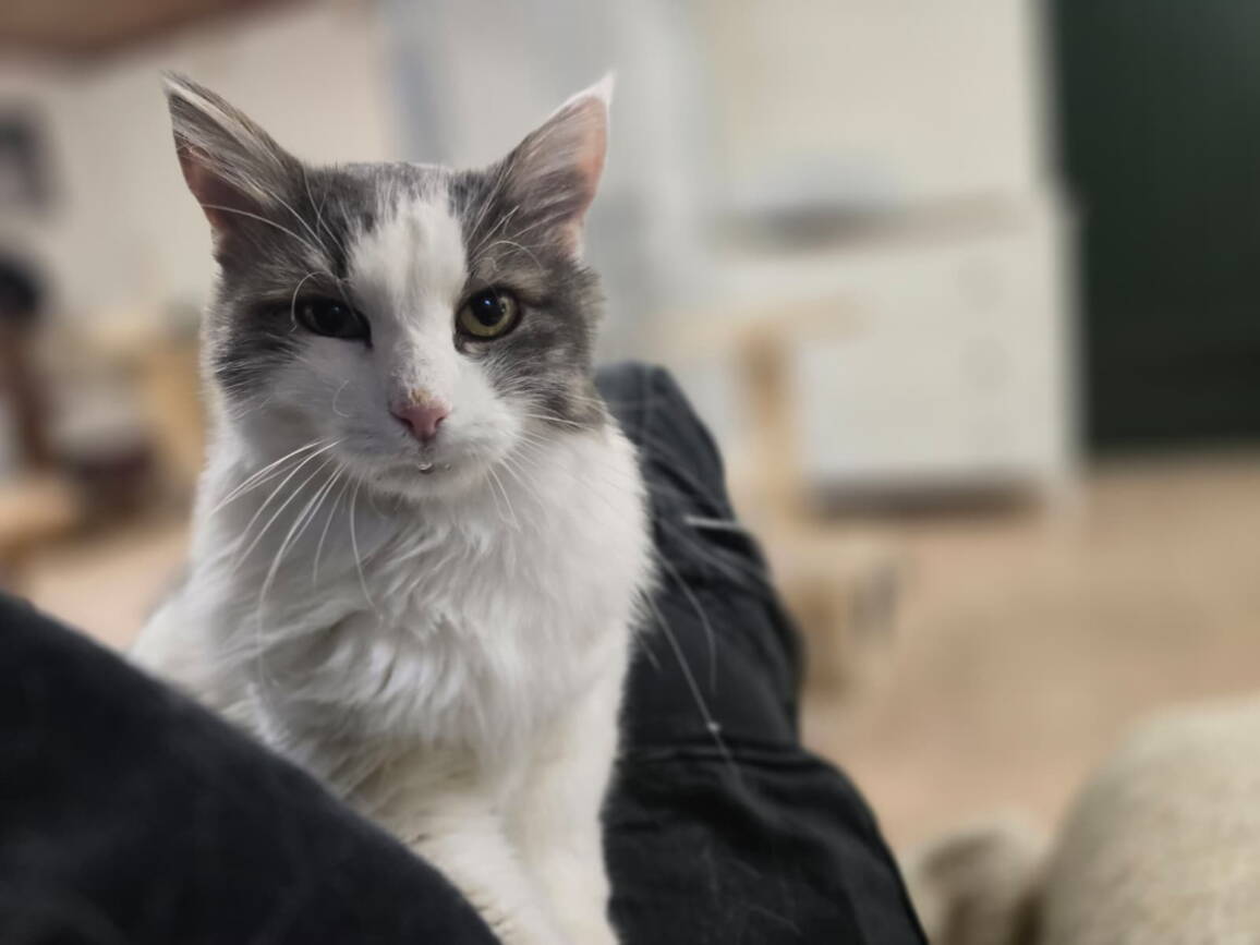 whatsapp_image_2025-10-29_at_08.25.51.jpeg whatsapp_image_2025-10-29_at_08.25.51.jpeg