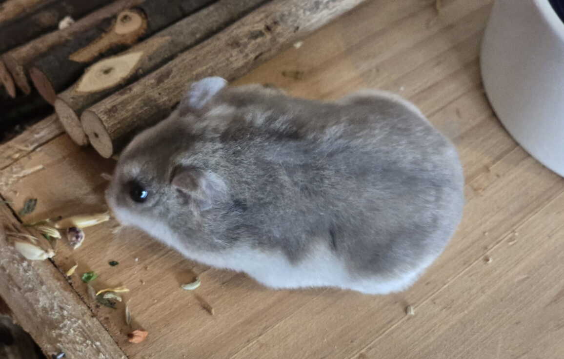 whatsapp_image_2026-03-11_at_17.27.142.jpeg whatsapp_image_2026-03-11_at_17.27.142.jpeg