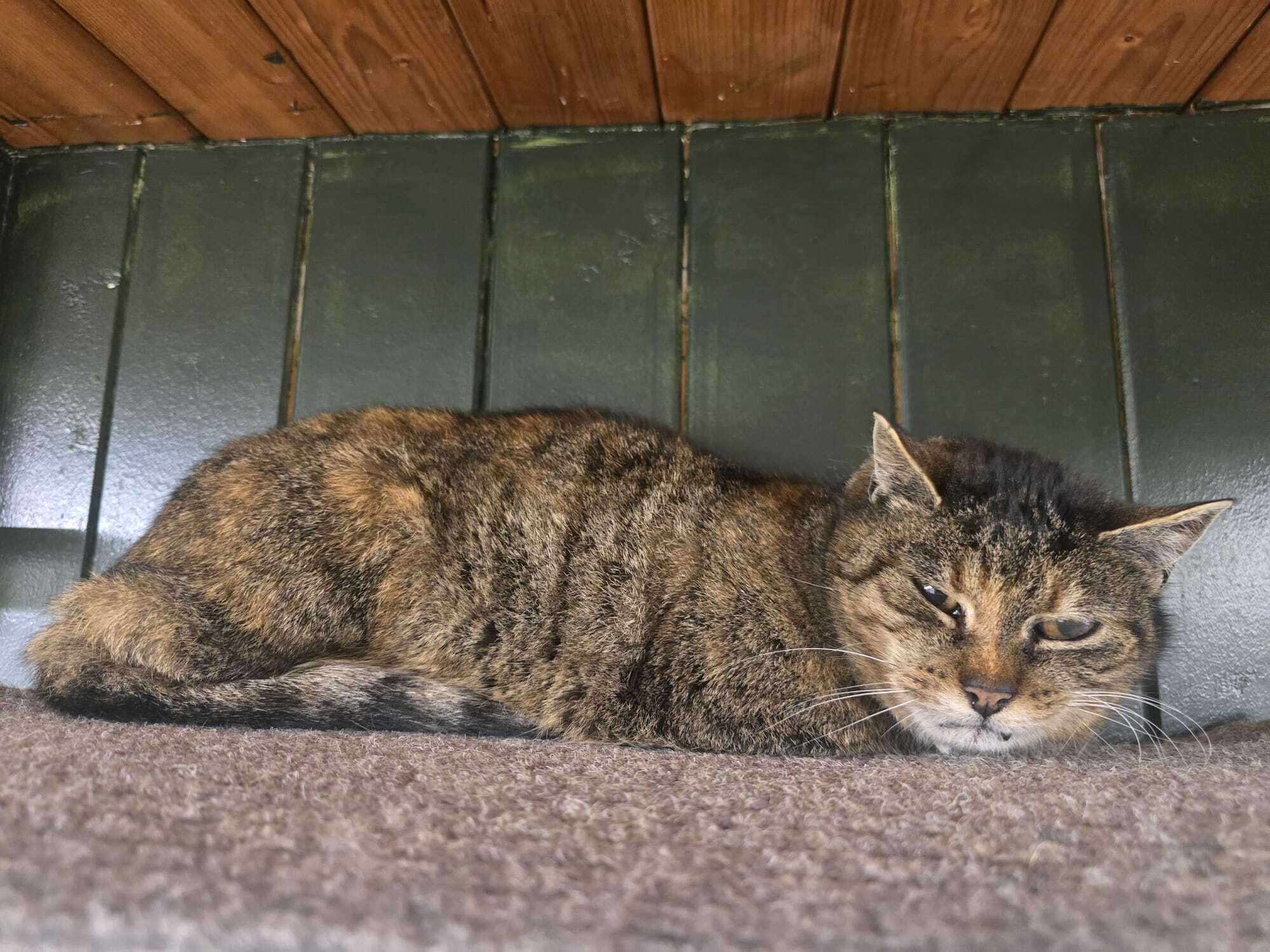 whatsapp_image_2026-03-10_at_14.15.562.jpeg whatsapp_image_2026-03-10_at_14.15.562.jpeg