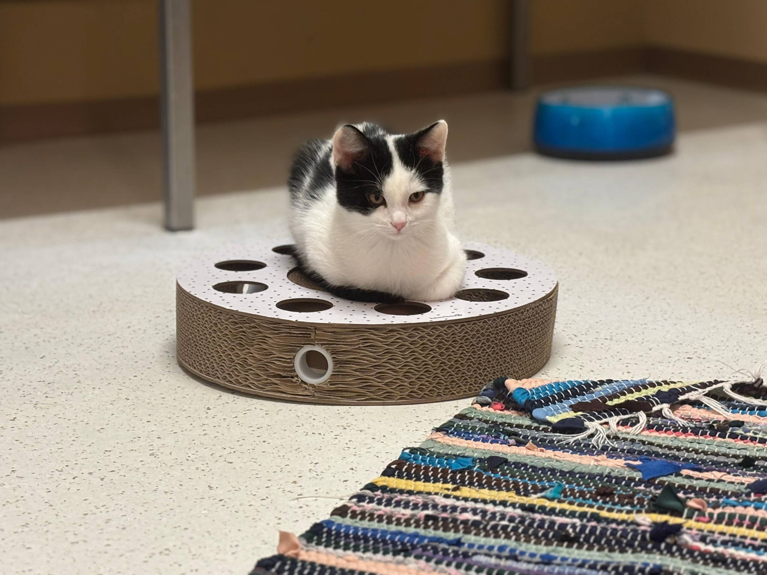 whatsapp_image_2025-10-14_at_14.16.202.jpeg whatsapp_image_2025-10-14_at_14.16.202.jpeg