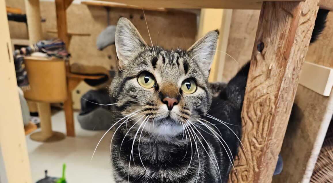 whatsapp_image_2025-10-17_at_11.10.022.jpeg whatsapp_image_2025-10-17_at_11.10.022.jpeg