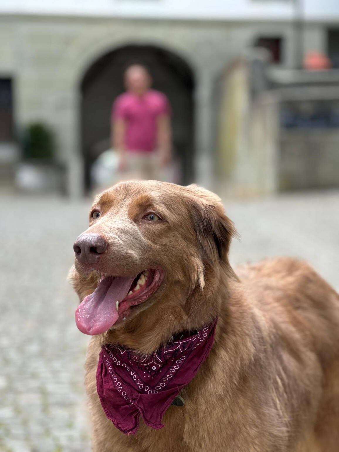 whatsapp_image_2025-11-10_at_16.23.363.jpeg whatsapp_image_2025-11-10_at_16.23.363.jpeg