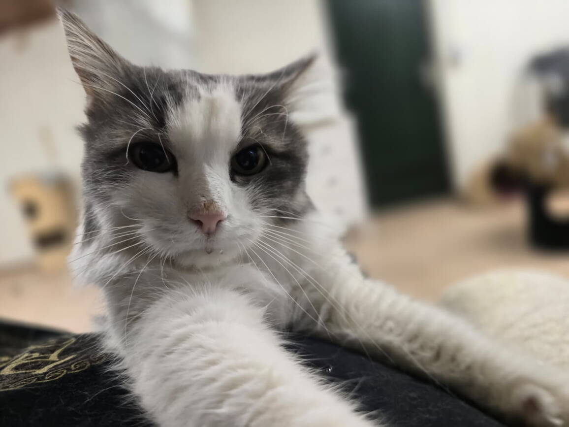 whatsapp_image_2025-10-29_at_08.26.381.jpeg whatsapp_image_2025-10-29_at_08.26.381.jpeg