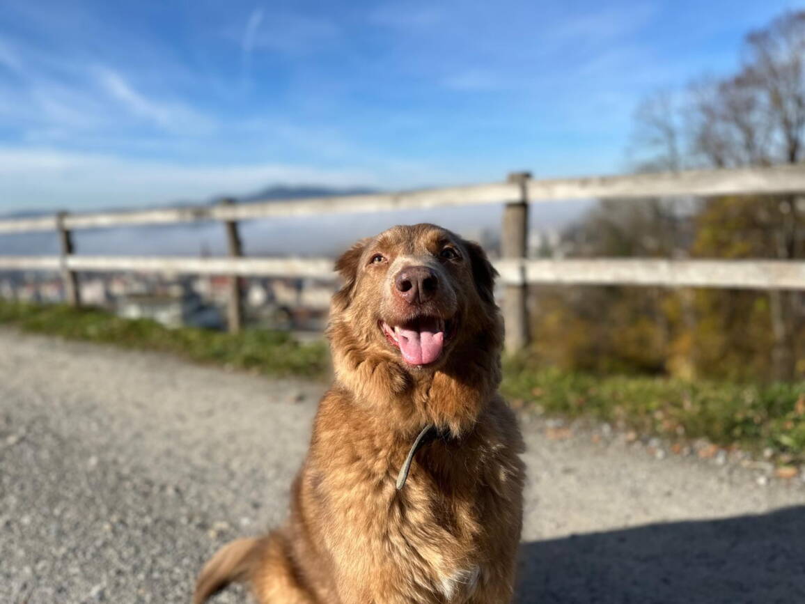 whatsapp_image_2025-11-10_at_16.23.369.jpeg whatsapp_image_2025-11-10_at_16.23.369.jpeg