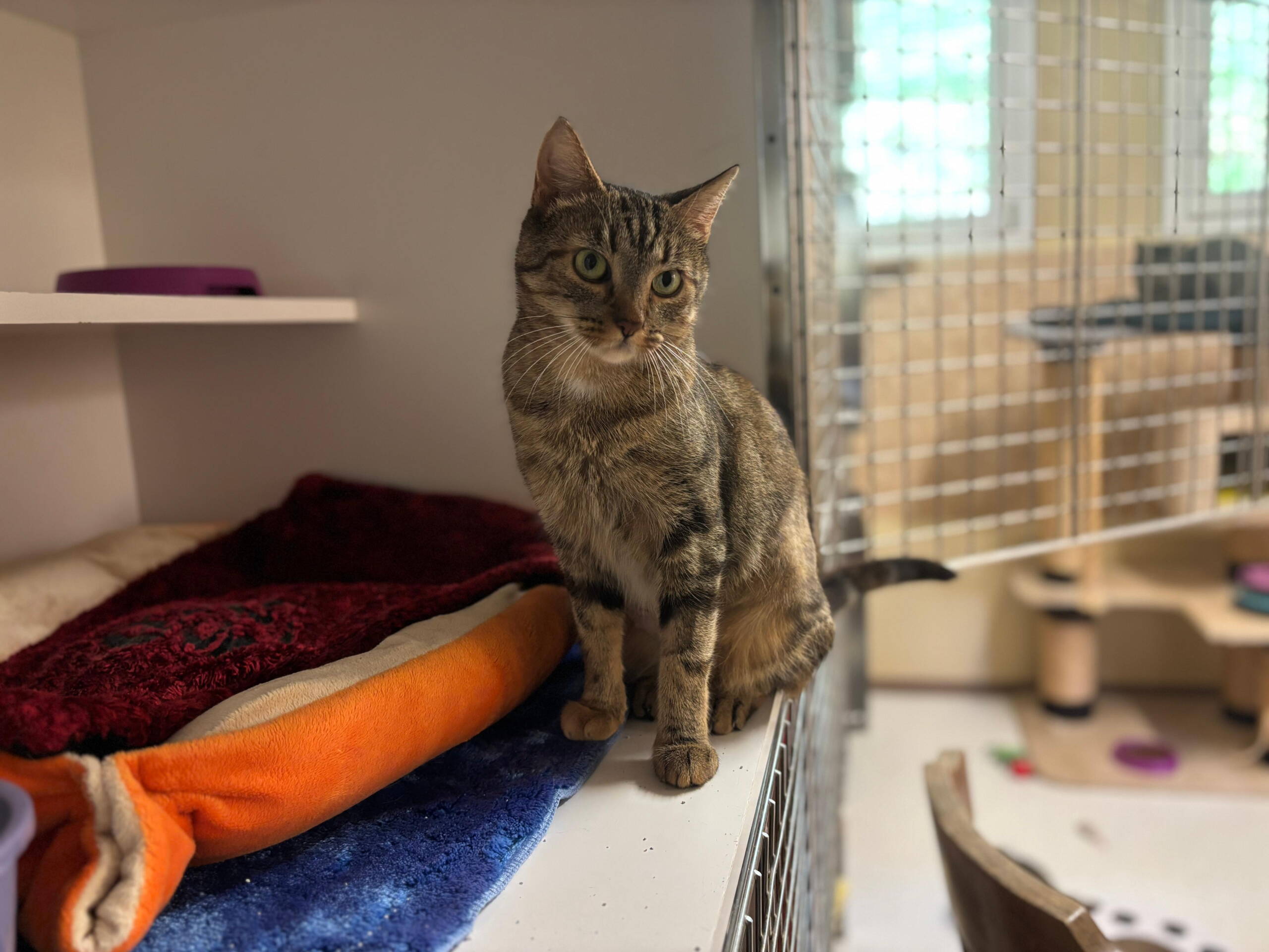 whatsapp_image_2025-10-14_at_14.26.551.jpeg whatsapp_image_2025-10-14_at_14.26.551.jpeg