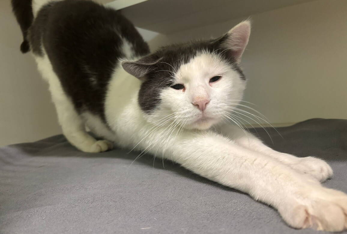 alfred1.jpg alfred1.jpg