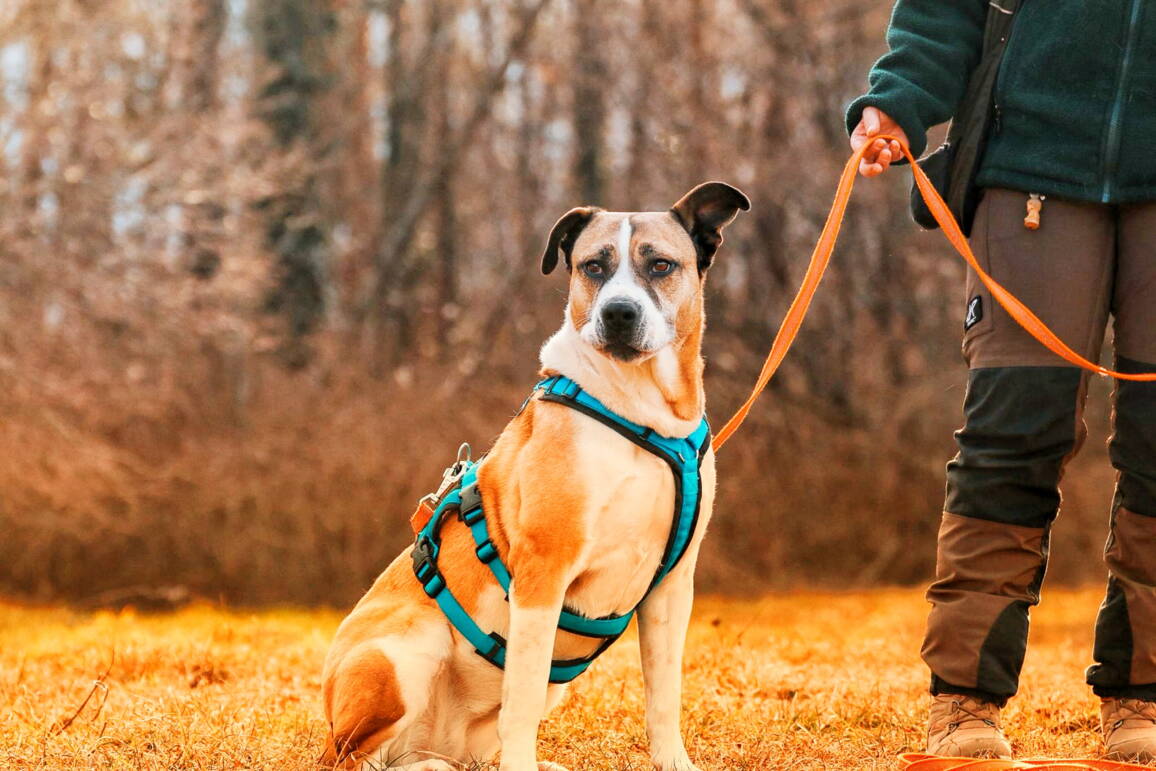 1000102622.jpg 1000102622.jpg