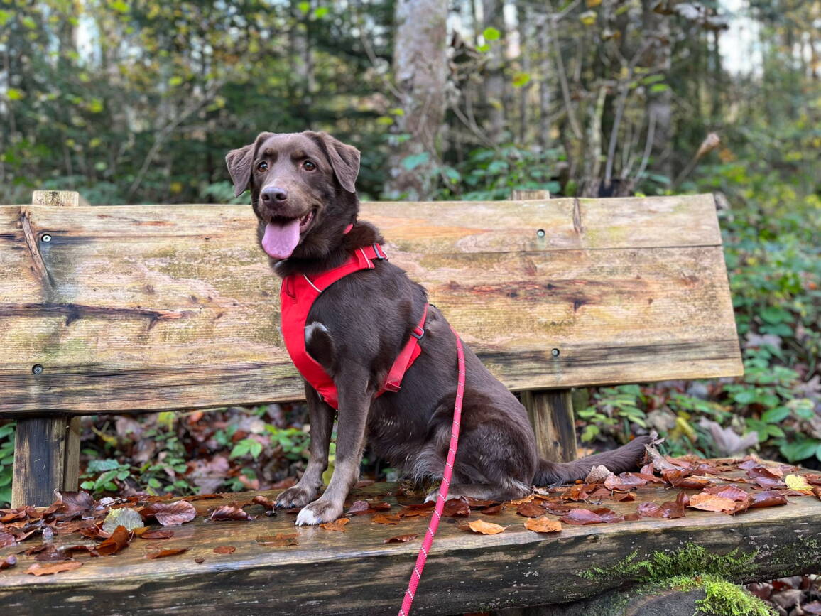 whatsapp_image_2025-10-29_at_14.51.496.jpeg whatsapp_image_2025-10-29_at_14.51.496.jpeg