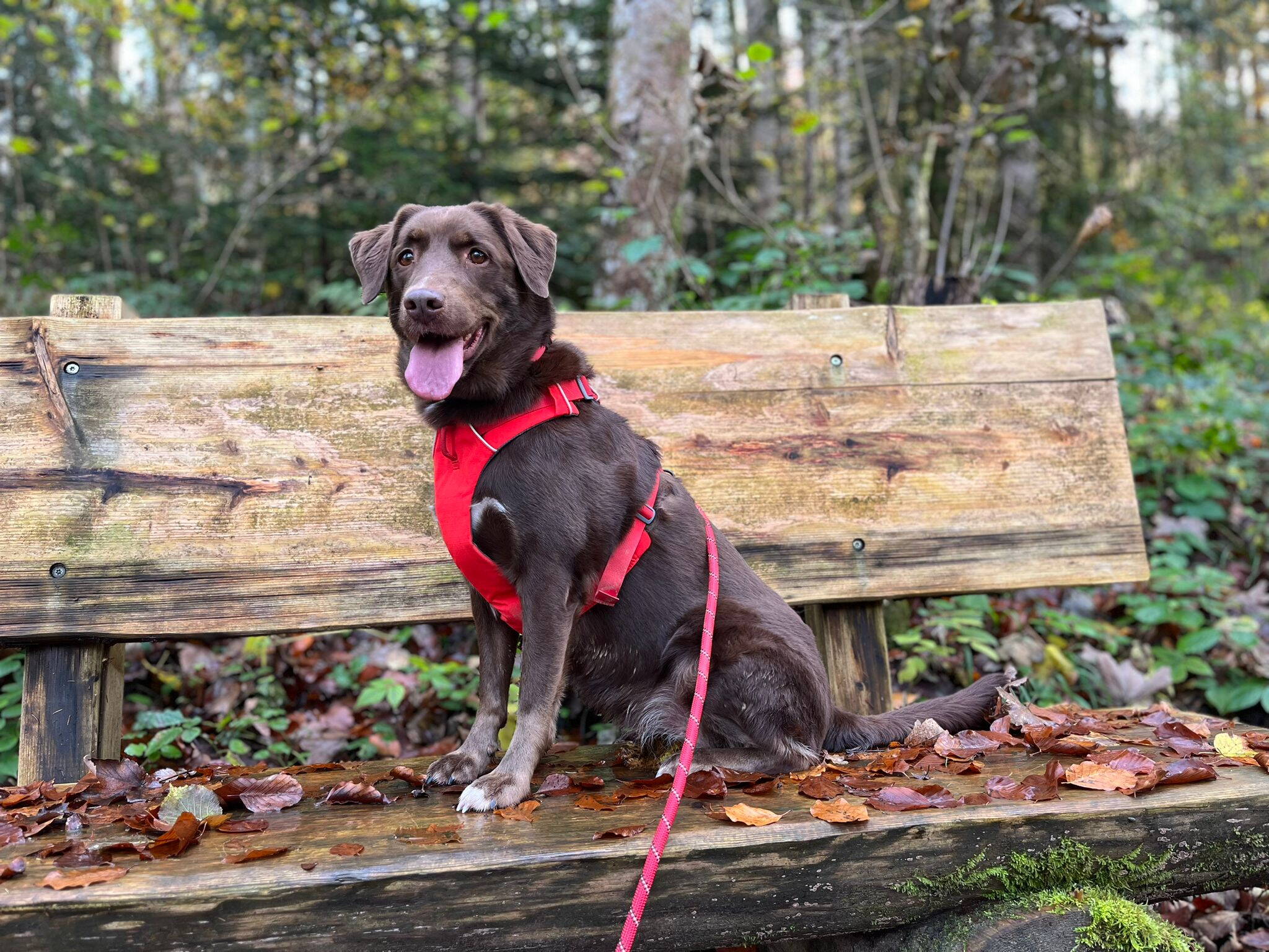 whatsapp_image_2025-10-29_at_14.51.496.jpeg whatsapp_image_2025-10-29_at_14.51.496.jpeg