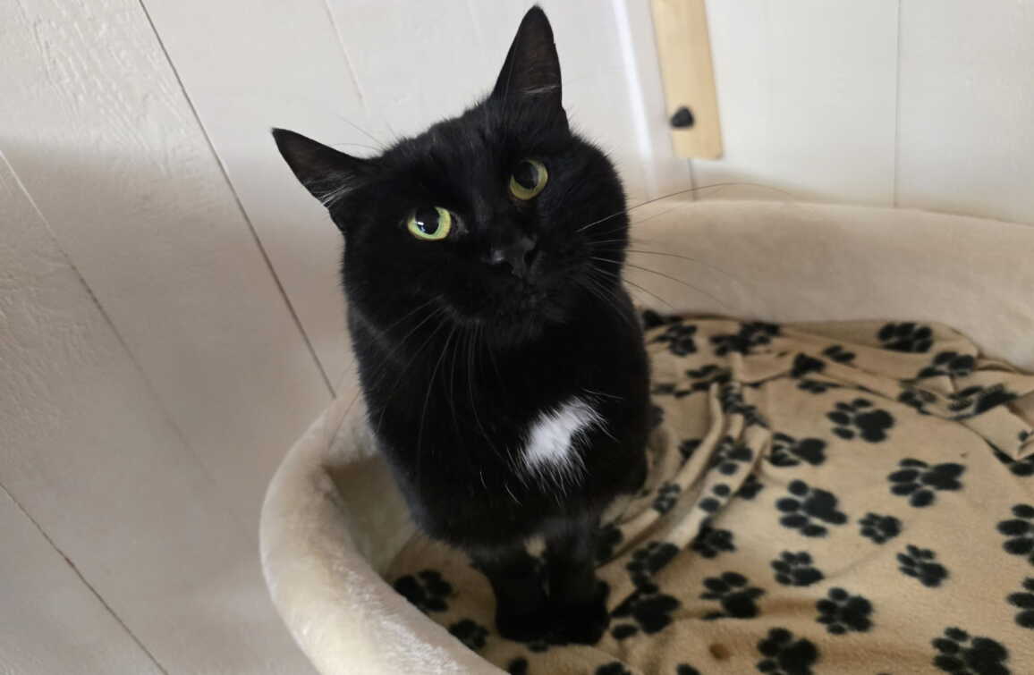 whatsapp_image_2025-10-29_at_15.37.431.jpeg whatsapp_image_2025-10-29_at_15.37.431.jpeg