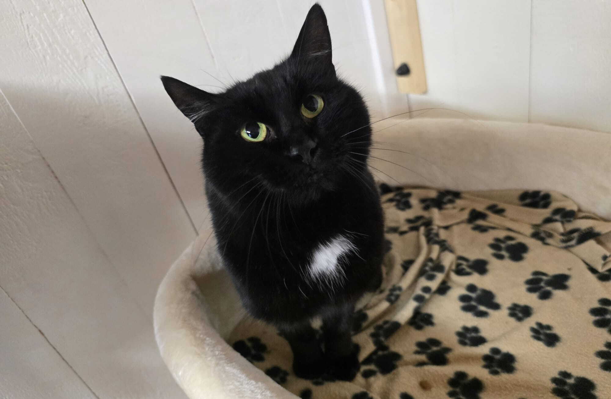 whatsapp_image_2025-10-29_at_15.37.431.jpeg whatsapp_image_2025-10-29_at_15.37.431.jpeg