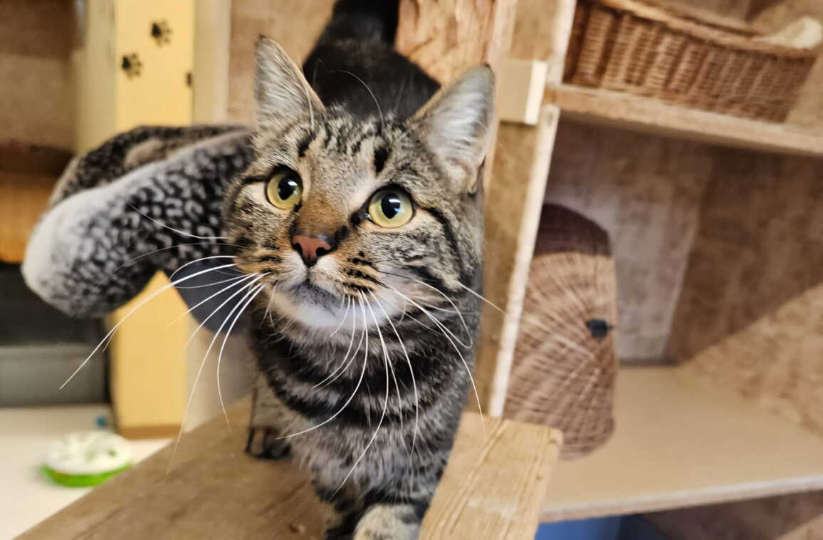 whatsapp_image_2025-10-17_at_11.10.021.jpeg whatsapp_image_2025-10-17_at_11.10.021.jpeg