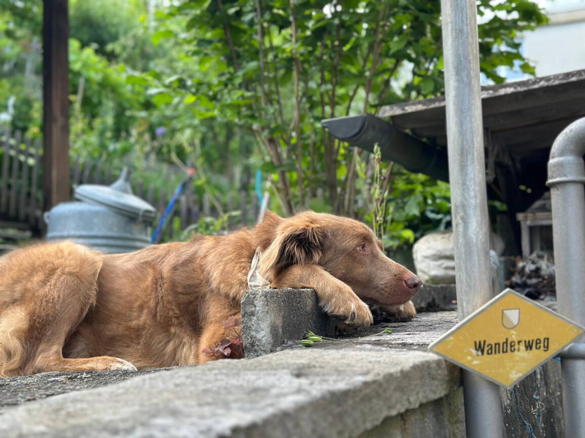 whatsapp_image_2025-11-10_at_16.23.365.jpeg whatsapp_image_2025-11-10_at_16.23.365.jpeg