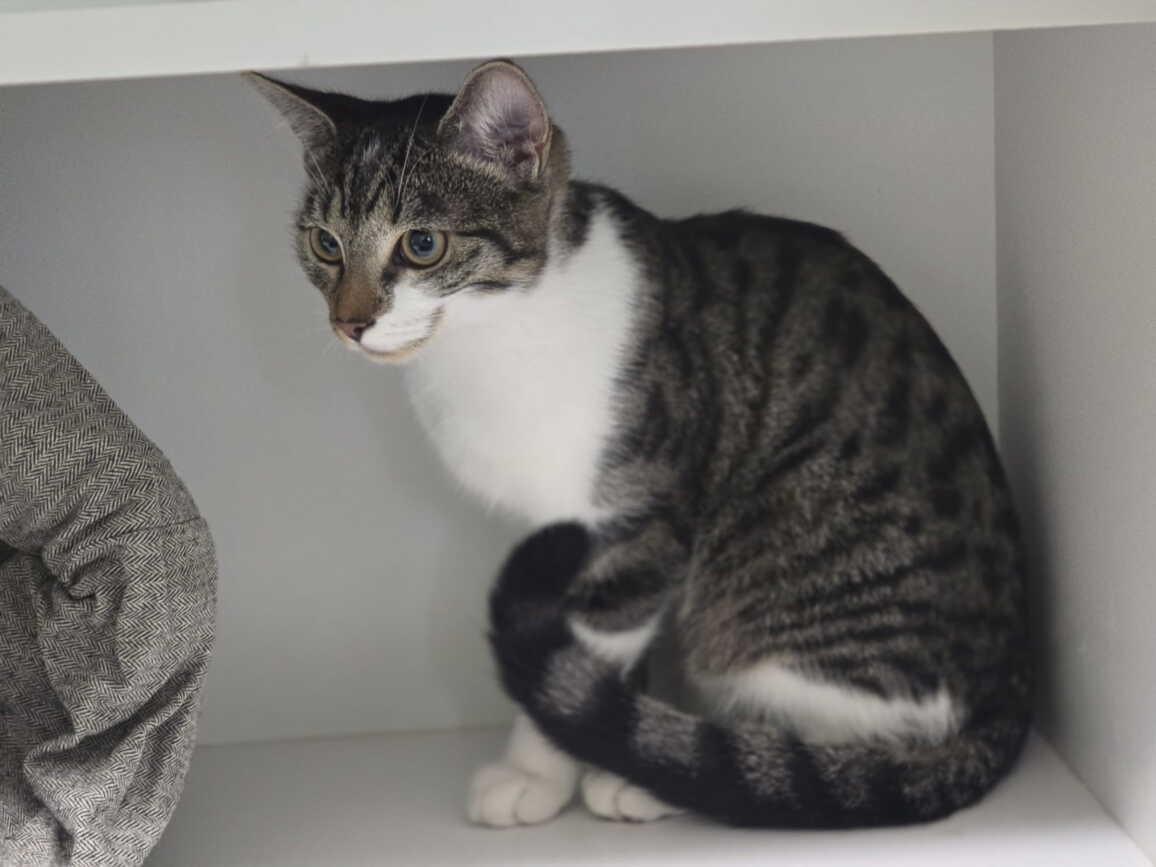 whatsapp_image_2025-10-04_at_16.44.21.jpeg whatsapp_image_2025-10-04_at_16.44.21.jpeg