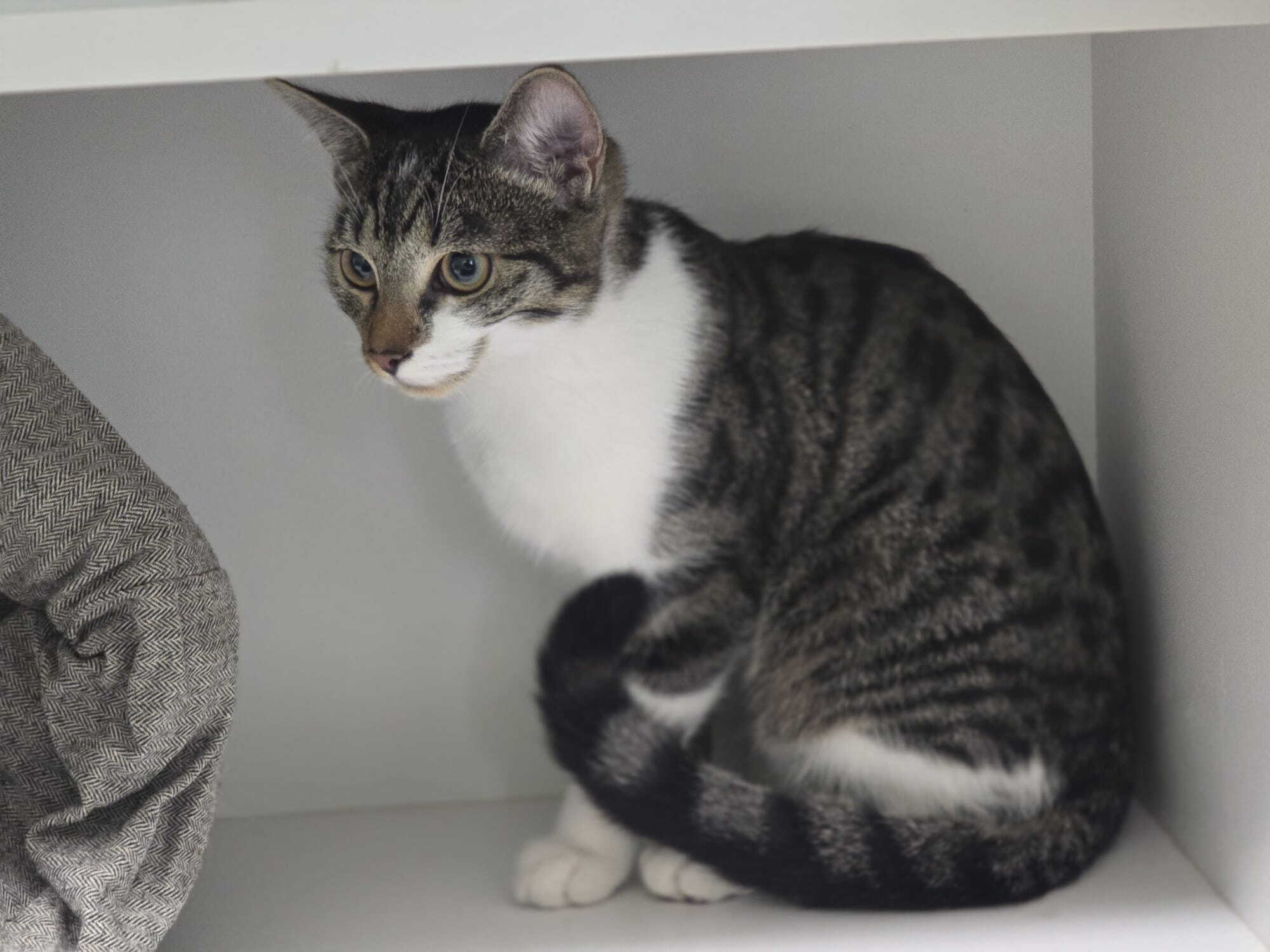 whatsapp_image_2025-10-04_at_16.44.21.jpeg whatsapp_image_2025-10-04_at_16.44.21.jpeg