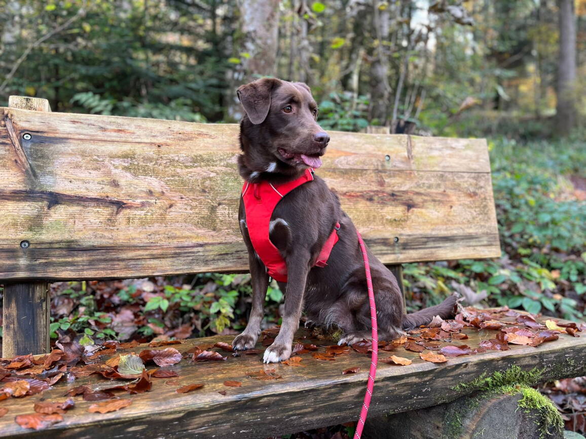 whatsapp_image_2025-10-29_at_14.51.501.jpeg whatsapp_image_2025-10-29_at_14.51.501.jpeg