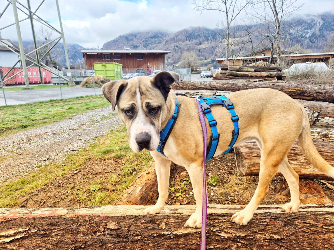 1000102618.jpg 1000102618.jpg