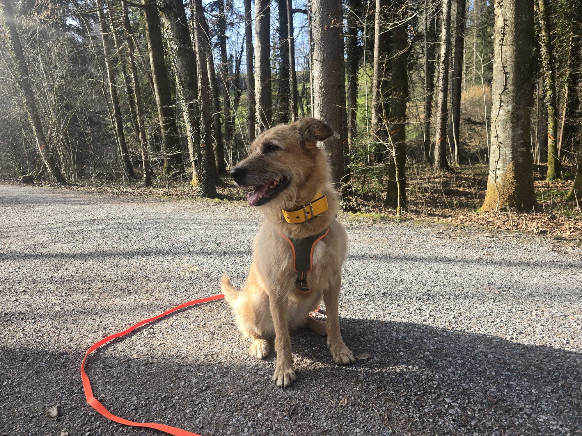 whatsapp_image_2026-03-05_at_15.49.411.jpeg whatsapp_image_2026-03-05_at_15.49.411.jpeg