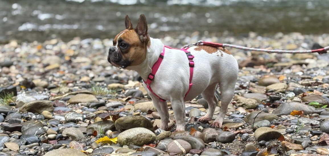 whatsapp_image_2025-10-14_at_09.43.183.jpeg whatsapp_image_2025-10-14_at_09.43.183.jpeg