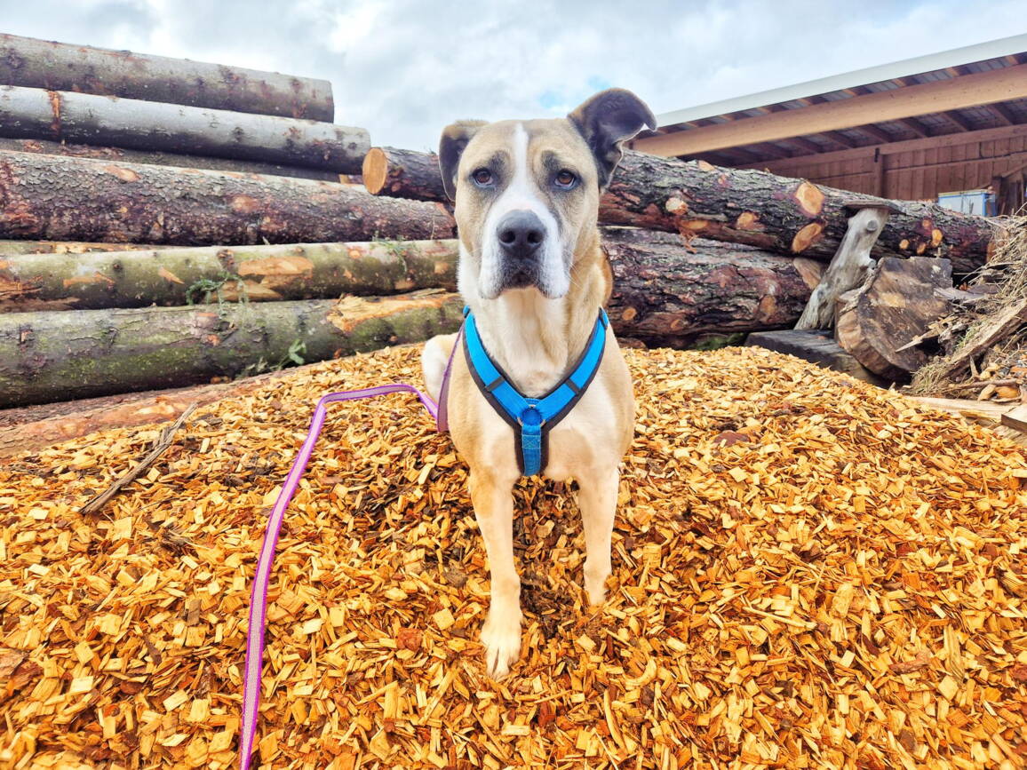 1000102621.jpg 1000102621.jpg