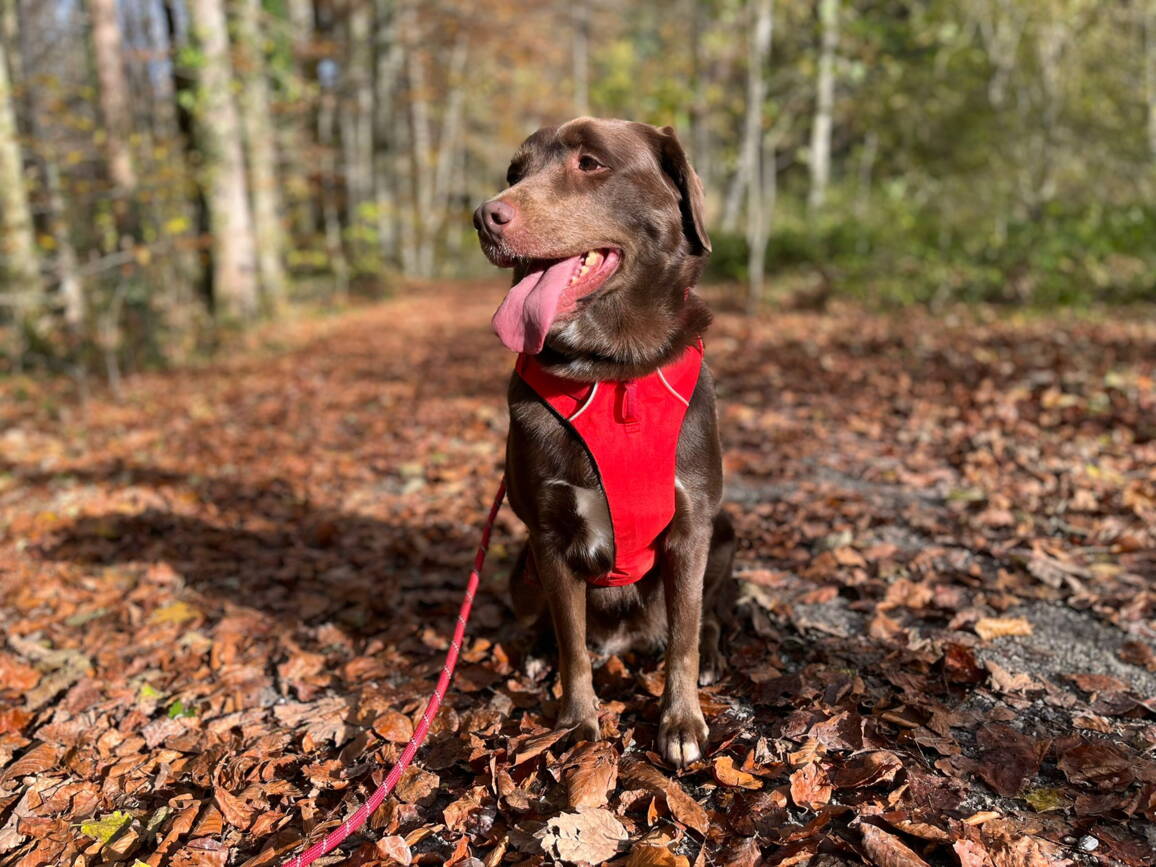 whatsapp_image_2025-10-29_at_14.51.481.jpeg whatsapp_image_2025-10-29_at_14.51.481.jpeg