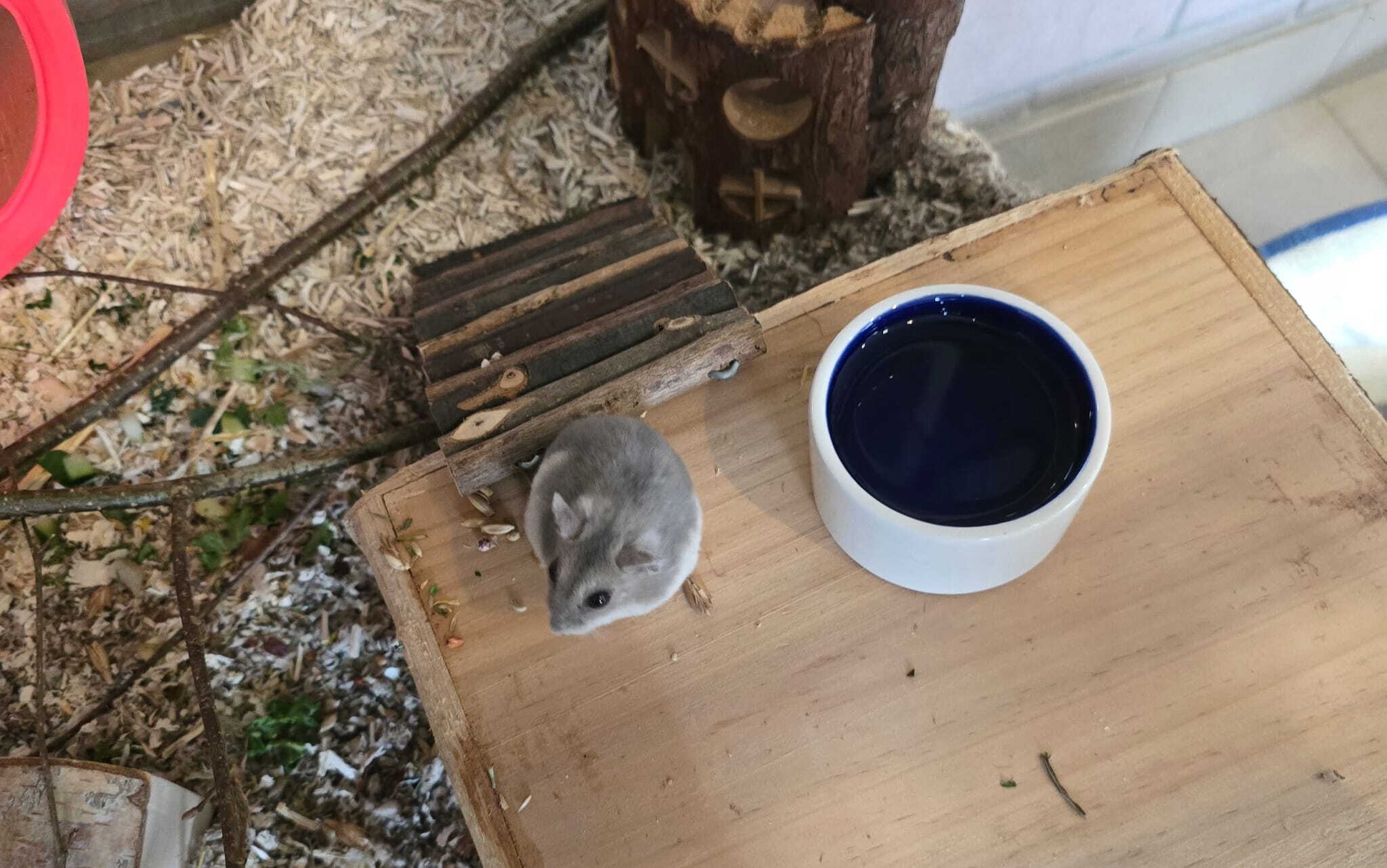 whatsapp_image_2026-03-11_at_17.26.27.jpeg whatsapp_image_2026-03-11_at_17.26.27.jpeg