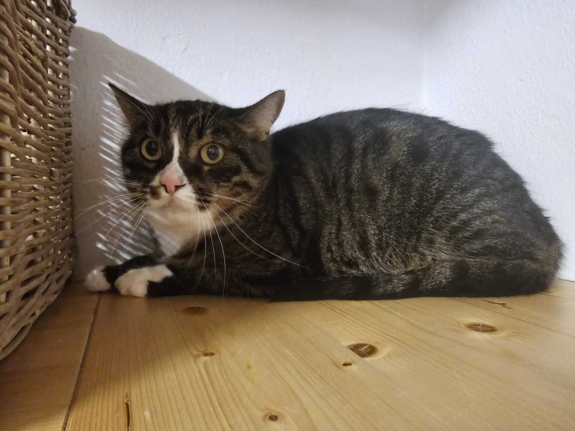 whatsapp_image_2025-10-29_at_16.27.332.jpeg whatsapp_image_2025-10-29_at_16.27.332.jpeg