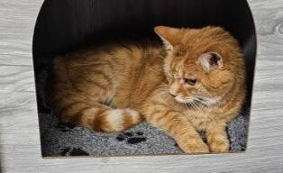 keona_1.jpg keona_1.jpg