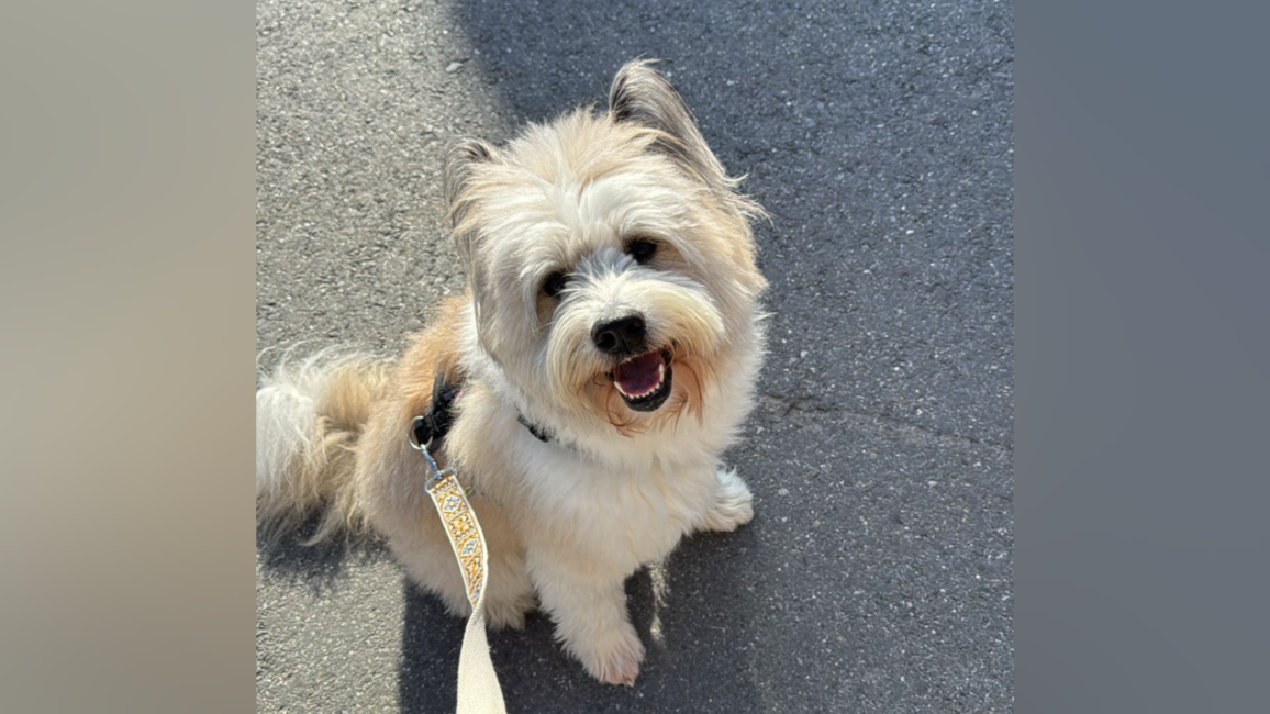 photo-output_3.png photo-output_3.png