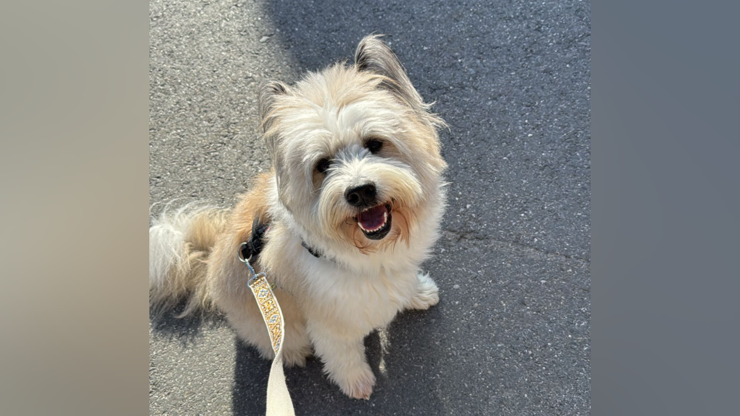 photo-output_3.png photo-output_3.png