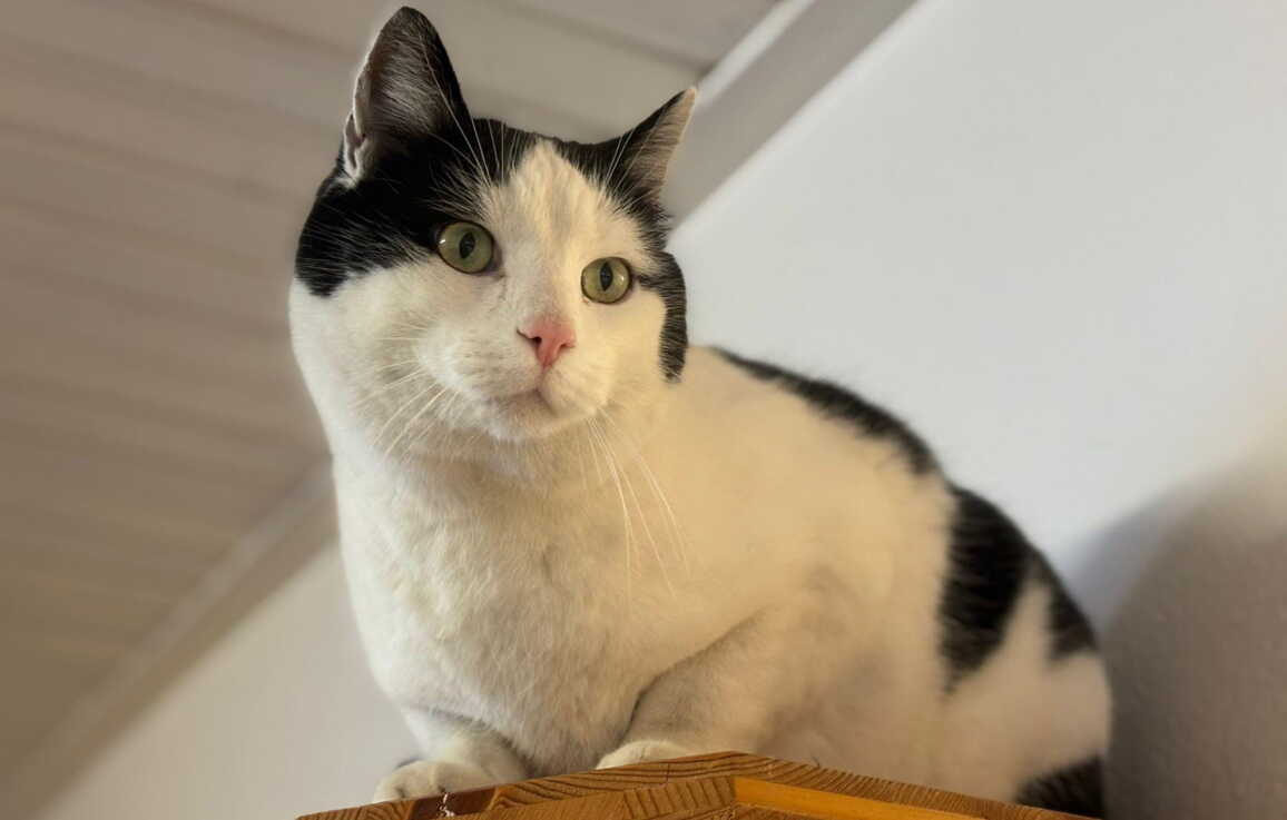 whatsapp_image_2026-01-14_at_13.51.504.jpeg whatsapp_image_2026-01-14_at_13.51.504.jpeg