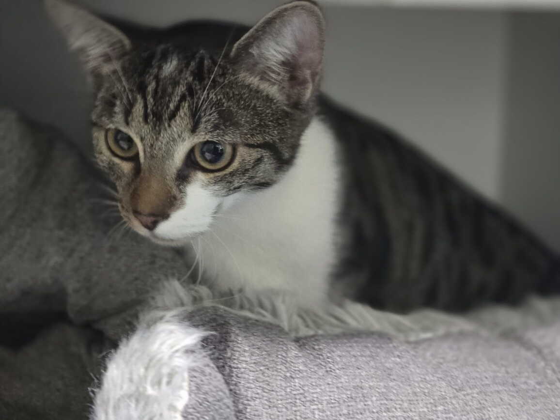 whatsapp_image_2025-10-04_at_16.44.22.jpeg whatsapp_image_2025-10-04_at_16.44.22.jpeg