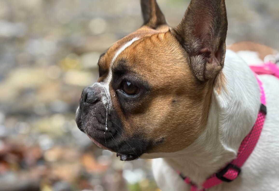 whatsapp_image_2025-10-14_at_09.43.184.jpeg whatsapp_image_2025-10-14_at_09.43.184.jpeg