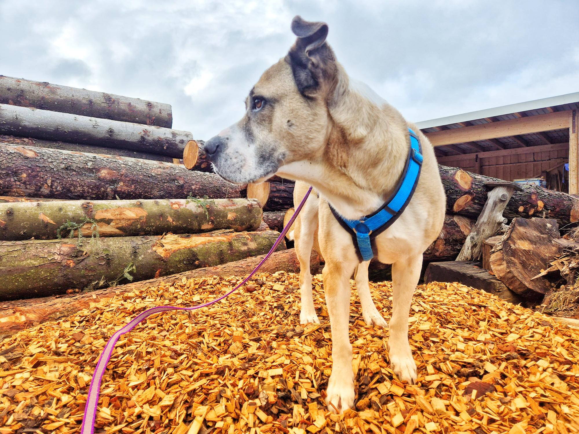 1000102620.jpg 1000102620.jpg