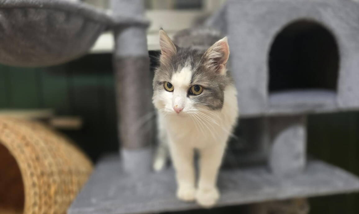 whatsapp_image_2025-10-29_at_17.44.471.jpeg whatsapp_image_2025-10-29_at_17.44.471.jpeg