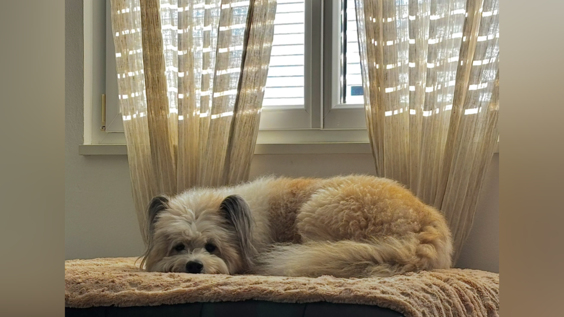 photo-output_0.png photo-output_0.png