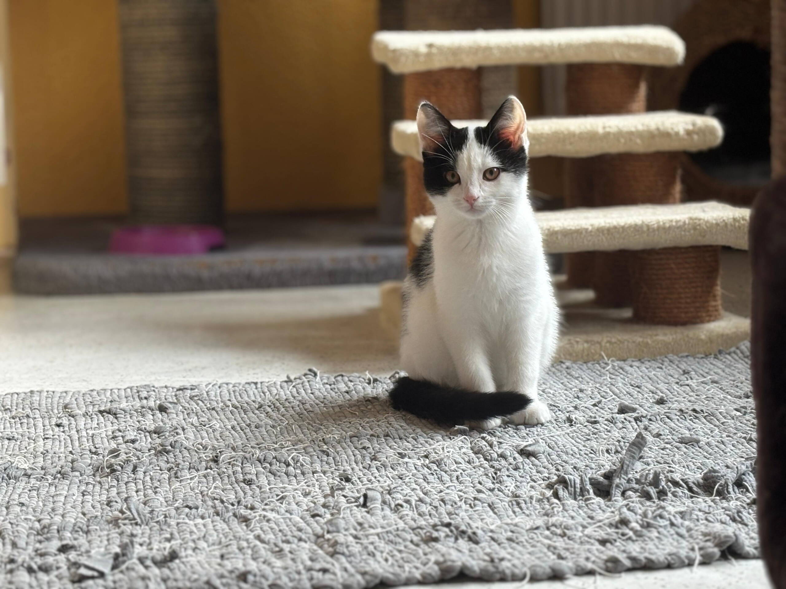 whatsapp_image_2025-10-14_at_14.16.191.jpeg whatsapp_image_2025-10-14_at_14.16.191.jpeg