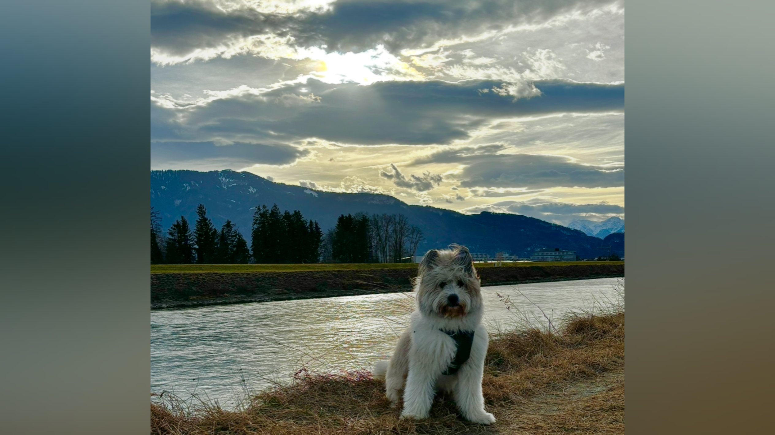 photo-output_1.png photo-output_1.png