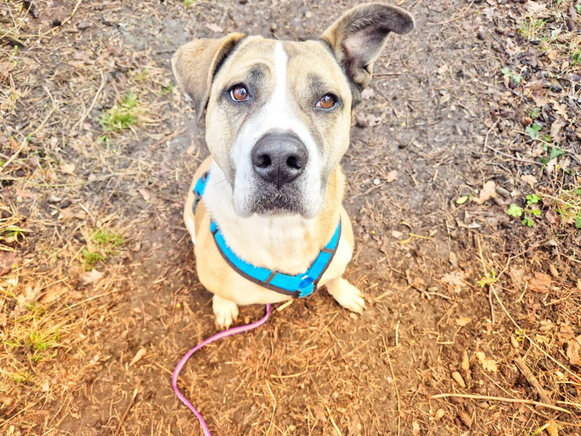 1000102616.jpg 1000102616.jpg